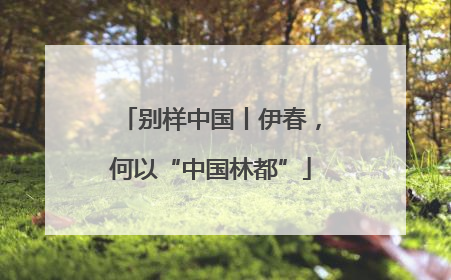别样中国丨伊春，何以“中国林都”