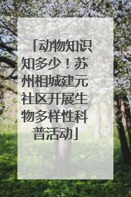 动物知识知多少！苏州相城建元社区开展生物多样性科普活动