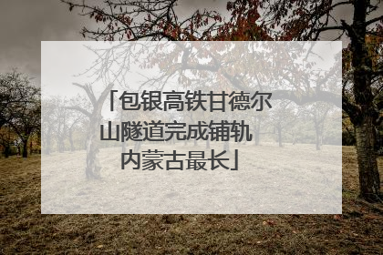包银高铁甘德尔山隧道完成铺轨 内蒙古最长