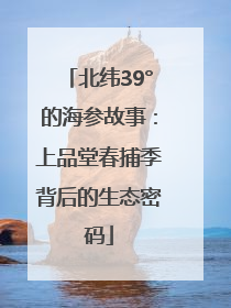 北纬39°的海参故事：上品堂春捕季背后的生态密码