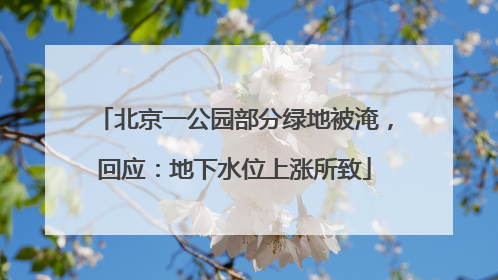北京一公园部分绿地被淹，回应：地下水位上涨所致