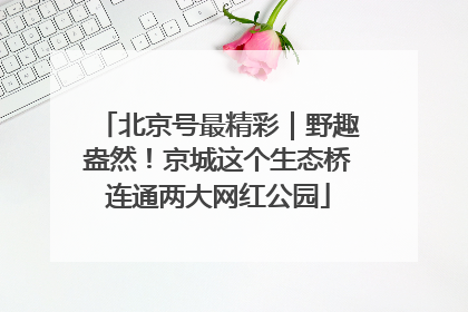 北京号最精彩｜野趣盎然！京城这个生态桥连通两大网红公园