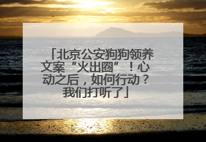 北京公安狗狗领养文案“火出圈”！心动之后，如何行动？我们打听了