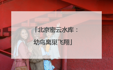 北京密云水库：幼鸟离巢飞翔