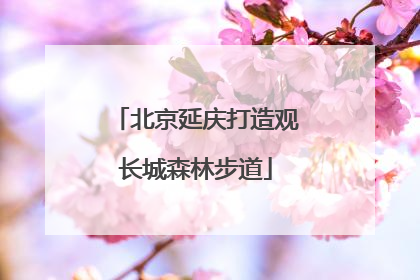 北京延庆打造观长城森林步道