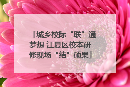 城乡校际“联”通梦想 江夏区校本研修现场“结”硕果