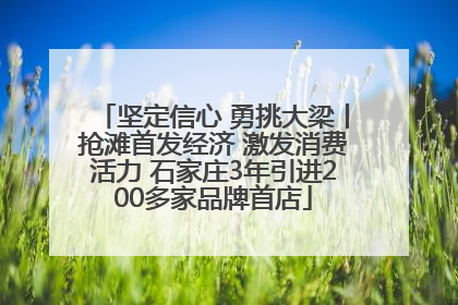 坚定信心 勇挑大梁丨抢滩首发经济 激发消费活力 石家庄3年引进200多家品牌首店