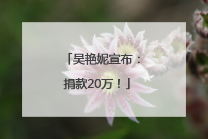 吴艳妮宣布：捐款20万！