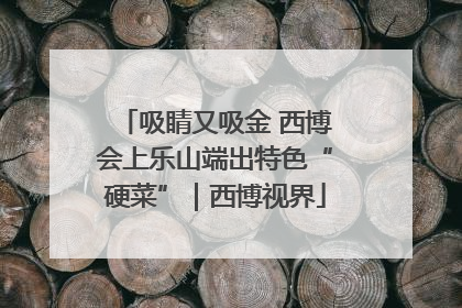 吸睛又吸金 西博会上乐山端出特色“硬菜”｜西博视界