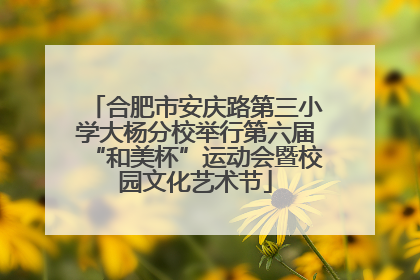 合肥市安庆路第三小学大杨分校举行第六届“和美杯”运动会暨校园文化艺术节