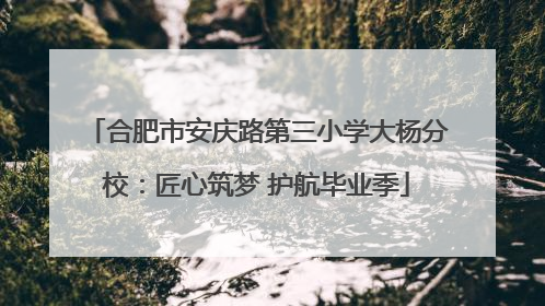 合肥市安庆路第三小学大杨分校：匠心筑梦 护航毕业季