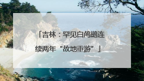 吉林：罕见白鸬鹚连续两年“故地重游”