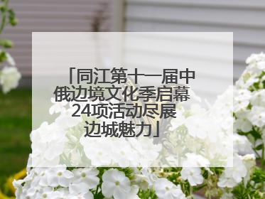 同江第十一届中俄边境文化季启幕 24项活动尽展边城魅力