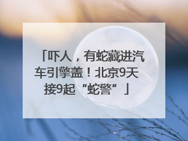 吓人，有蛇藏进汽车引擎盖！北京9天接9起“蛇警”