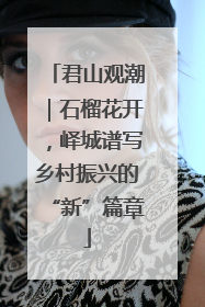 君山观潮｜石榴花开，峄城谱写乡村振兴的“新”篇章