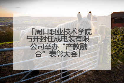 周口职业技术学院与开封住成电装有限 公司举办“产教融合”表彰大会
