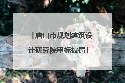 唐山市规划建筑设计研究院串标被罚
