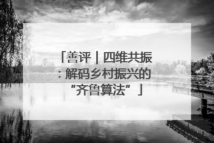 善评｜四维共振：解码乡村振兴的“齐鲁算法”