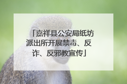 嘉祥县公安局纸坊派出所开展禁毒、反诈、反邪教宣传
