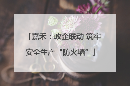 嘉禾：政企联动 筑牢安全生产“防火墙”