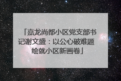 嘉龙尚都小区党支部书记谢文盛：以公心破难题 绘就小区新画卷