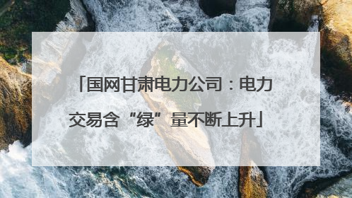 国网甘肃电力公司：电力交易含“绿”量不断上升