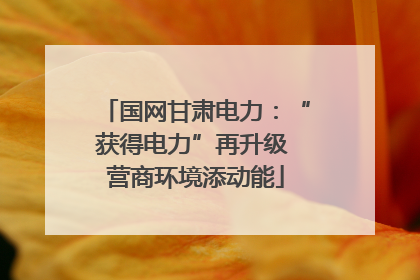 国网甘肃电力：“获得电力”再升级 营商环境添动能