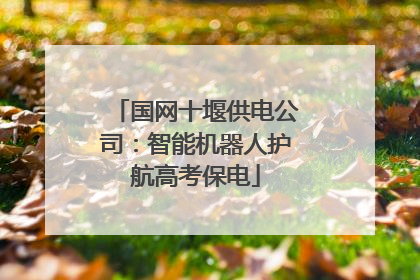国网十堰供电公司：智能机器人护航高考保电