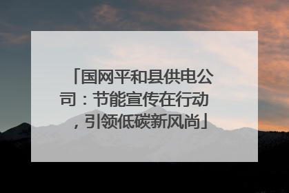 国网平和县供电公司：节能宣传在行动，引领低碳新风尚