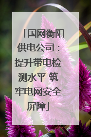 国网衡阳供电公司：提升带电检测水平 筑牢电网安全屏障