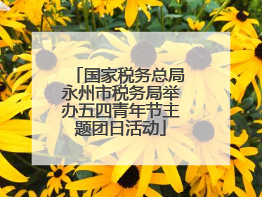国家税务总局永州市税务局举办五四青年节主题团日活动