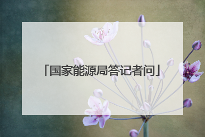 国家能源局答记者问