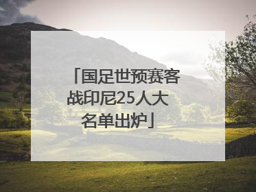 国足世预赛客战印尼25人大名单出炉