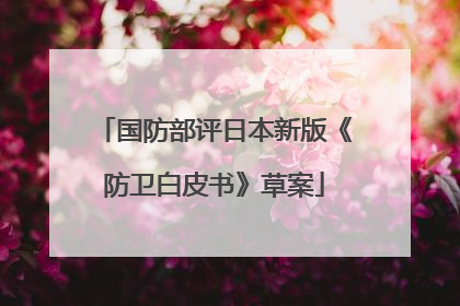 国防部评日本新版《防卫白皮书》草案