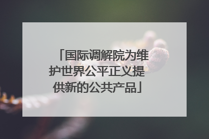国际调解院为维护世界公平正义提供新的公共产品