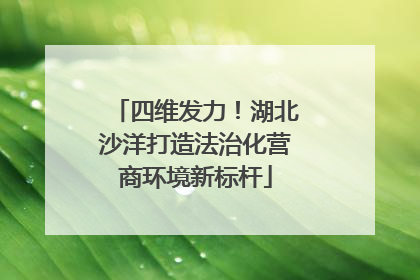四维发力！湖北沙洋打造法治化营商环境新标杆