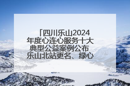 四川乐山2024年度心连心服务十大典型公益案例公布 乐山北站更名、绿心路井盖治理等上榜