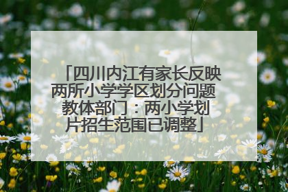 四川内江有家长反映两所小学学区划分问题 教体部门：两小学划片招生范围已调整