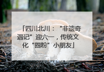 四川北川：“非遗奇遇记”迎六一，传统文化“圈粉”小朋友