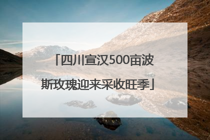 四川宣汉500亩波斯玫瑰迎来采收旺季