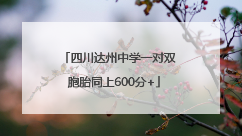 四川达州中学一对双胞胎同上600分+