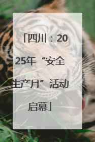 四川：2025年“安全生产月”活动启幕