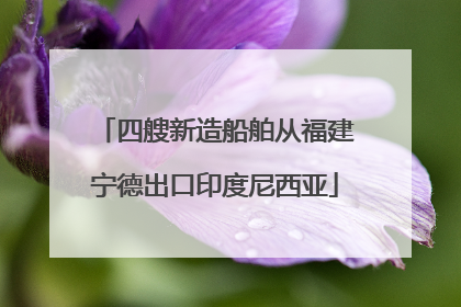 四艘新造船舶从福建宁德出口印度尼西亚