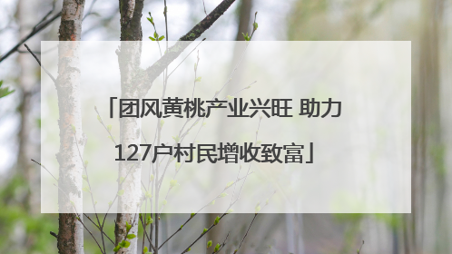 团风黄桃产业兴旺 助力127户村民增收致富