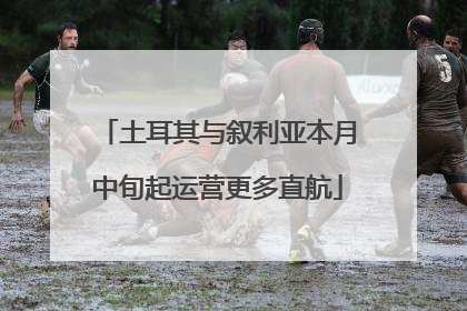 土耳其与叙利亚本月中旬起运营更多直航