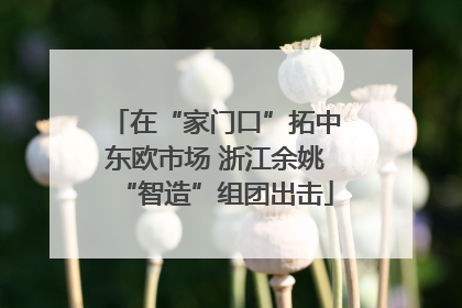 在“家门口”拓中东欧市场 浙江余姚“智造”组团出击