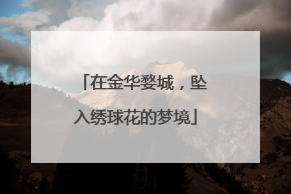 在金华婺城，坠入绣球花的梦境