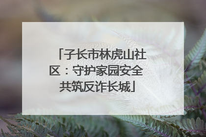 子长市林虎山社区：守护家园安全 共筑反诈长城