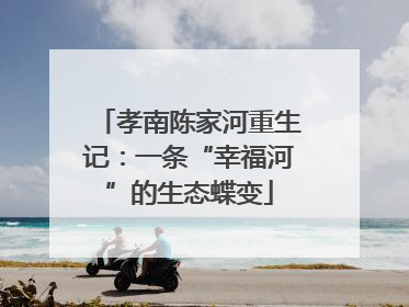孝南陈家河重生记：一条“幸福河”的生态蝶变