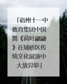 宿州十一中教育集团中国舞《荷叶翩翩》在埇桥区传统文化展演中大放异彩